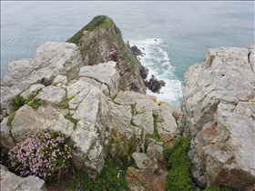 Cape of Good Hope